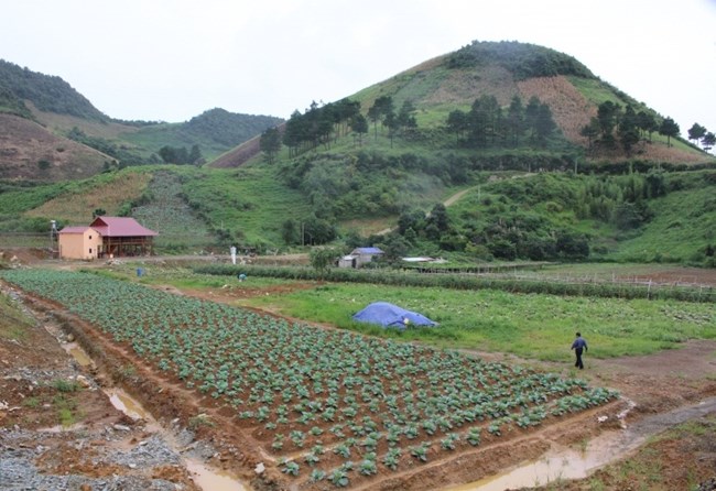 Giải pháp nào phát triển kinh tế tuần hoàn trong nông nghiệp ở Sơn La?